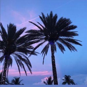 Meet your Posher, Kamryn